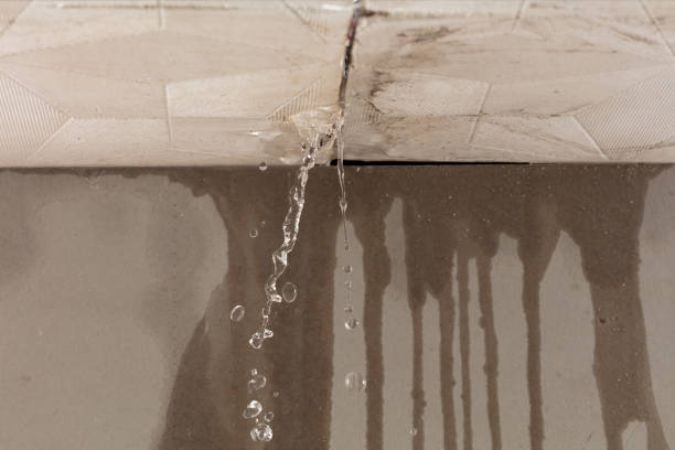 Professional Water Damage Repair technician working in Tehuacana, TX